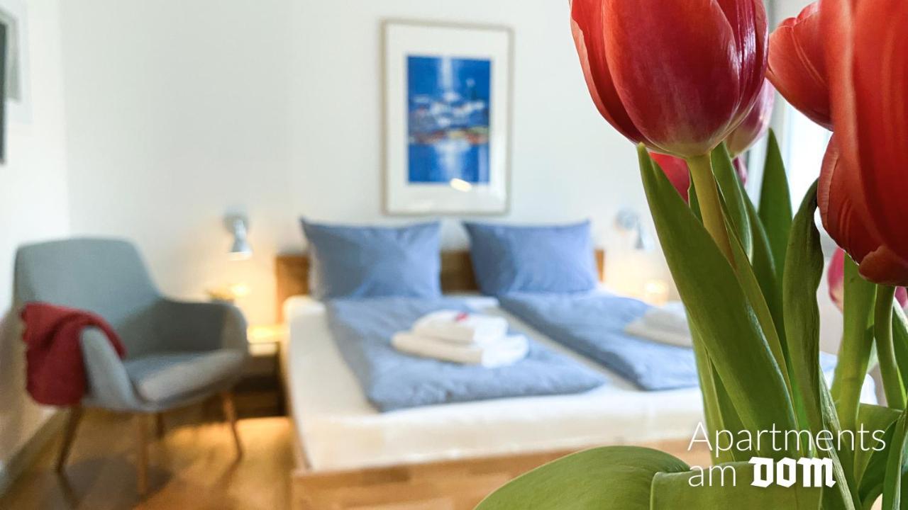 Apartments Am Dom Наумбург Экстерьер фото